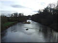 The River Wharfe