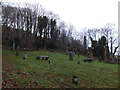 Kinettas Graveyard, Strathpeffer