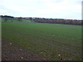 Farmland towards Alders