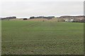 Winter cereals, Gateside