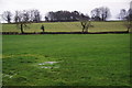 Waterlogged fields below Horse Shoe Wood