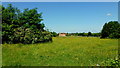 Summer meadow and Lilworth Farm