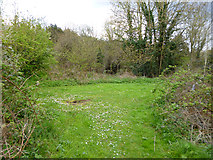TQ2165 : Small clearing by Old Malden Lane by Robin Webster