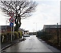 Barnacre Avenue near Newall Green Farm