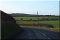 SY6589 : Bend in the road to Martinstown near Clandon Hill by David Smith