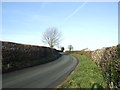 Twisty lane towards Copgrove