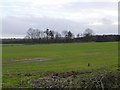 Covered reservoir in middle of field