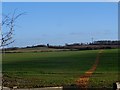 Footpath from Westoning to Pulloxhill