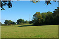 View towards mast at Porters Farm