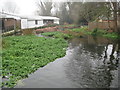 River Colne in Stanwell Moor