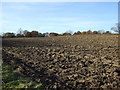 Ploughed field south of Staveley