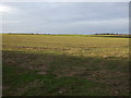 Farmland near Little Ouseburn