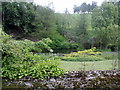 View from path near Cosford Farm