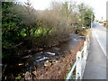 Afon Pelenna flows alongside Tonmawr Road near Efail Fach