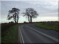 Sharp bend in Thorpe Green Lane