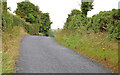 The Stump Road near Ballywalter