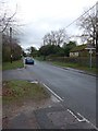 Looking north-northeast up the Petersfield Road