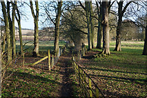 TA1367 : Path near Boynton Hall by Ian S
