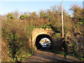 Railway bridge, St George