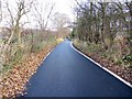 Hospital Lane near Allerdean Close