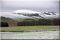 Fields at Cairnleith, near Kirriemuir