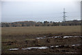 Stubble field at Haughend, near Ruthven