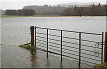 NS2072 : Flooding at Ardgowan Policies by Thomas Nugent
