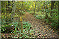 Path junction below Badgers Mount