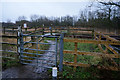 Crossing on Long Lane, Seamer