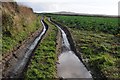 Wet and muddy track