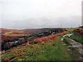 Mynydd y Gopa / Gopa Hill