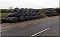 Black silage bales alongside Chepstow Road south of Raglan