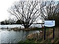 Near the entrance to North Meadow National Nature Reserve, Cricklade