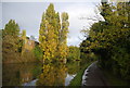 Grand Union Canal - Paddington Branch