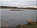 Small Island in Broadwood Loch