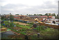 Allotments and new housing, Elm Park