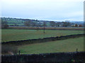 Grazing and stone walls, Steeton Ings