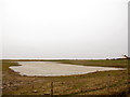 TA4115 : Small lake at Kilnsea by Stephen Craven