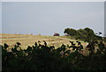 Mowing the hay