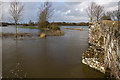 Jan 2014: flooding at Crawford Bridge, Spetisbury (2)