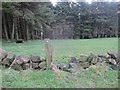 Footpath over boundary wall below Ramshaw Rocks