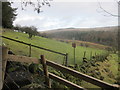 The upper reaches of the Swainsmoor valley, a former MOD training area