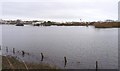 Flood Waters at Purewell Meadows