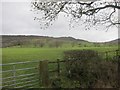 Stile & footpath from Rose Cottage to Pheasants Clough