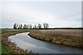 TF6328 : Babingley River by Rob Johnson