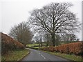 Minor road to Exford