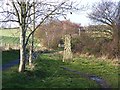 Bowes Railway Path at Kibblesworth Bank