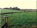 Mullaghslin Glebe Townland