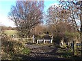 Bowes Railway Path at Birtley