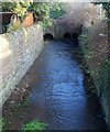 Unnamed stream enters a culvert in Whitchurch